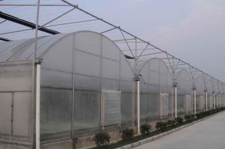 Multi-span greenhouse